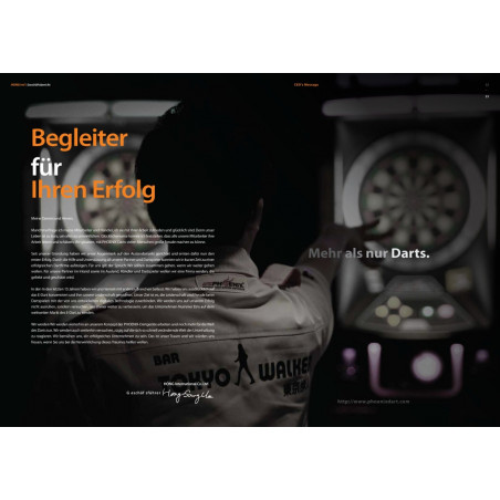 Phoenixdarts Onlinedartgerät 13" Small Target