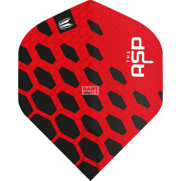 TARGET NATHAN ASPINALL PRO.ULTRA No2 FLIGHT