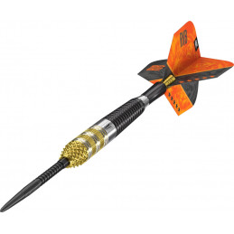 Target - Raymond van Barneveld G4 - Steeldart