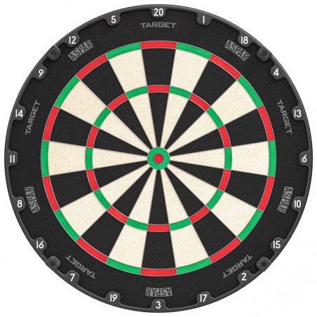TARGET - ASPAR PROFESSIONAL DARTBOARD