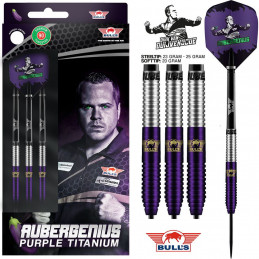 Bull's - Dirk van Duijvenbode Aubergenius 90% - Steeldart