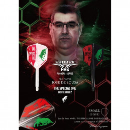 Condor - AXE Dart Flights - Jose De Sousa - Small - The Special One 2 - Black