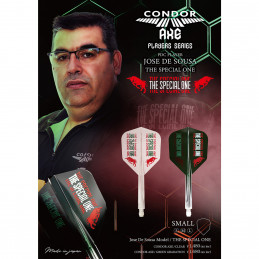 Condor - AXE Player Dart Flights - Small - The Special One - Clear