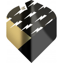 TARGET - Phil Taylor PRO.ULTRA Gold & Black FLIGHT