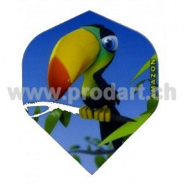 Amazon Cartoon Standart AZC2