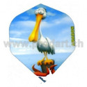 Amazon Cartoon Standart AZC7