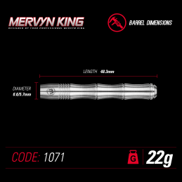 Winmau - Mervyn King Silver - Steeldart