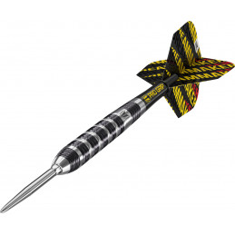 Target - Dimitri van den Bergh 80% - Steeldart