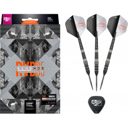 Target - Raymond van Barneveld Echo - Steeldart