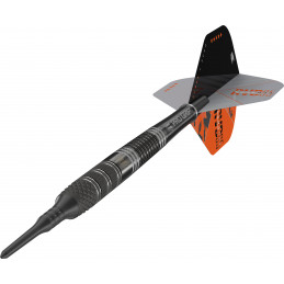 Target - Raymond van Barneveld Echo - Softdart