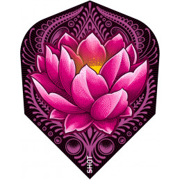 Shot - Zen Juji No. 6