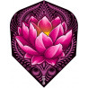 Shot - Zen Juji No. 6