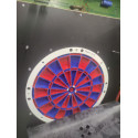 ProDart Mini