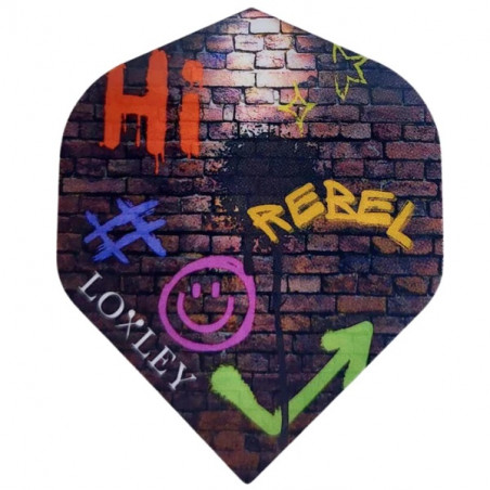 Loxley - Ronny Huybrechts Rebel Standard Flights