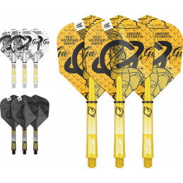 TARGET - GABRIEL CLEMENS INK FLIGHT & SHAFT KIT  (2 x 3ER-PACK)