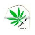 Pentathlon Standart P97