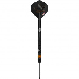 Bull's - Dirk van Duijvenbode E2 - Steeldart