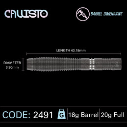 Winmau - Callisto 2491 - Softdart
