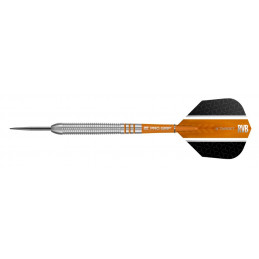 Target - Raymond van Barneveld 80% - Steeldart