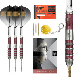 Target - Stephen Bunting 95K - Steeldart