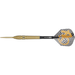 Target - Bolide Envy 03 - Steeldart