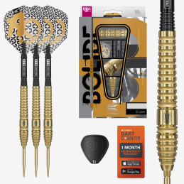 Target - Bolide Envy 03 - Steeldart