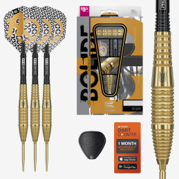 Target - Bolide Envy 05 - Steeldart