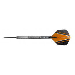 Target - Raymond van Barneveld 90% - Steeldart