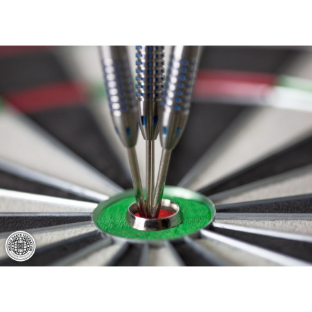 Target Vision 360 Dartboard LED Beleuchtung