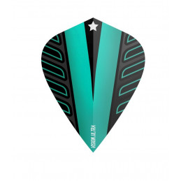 TARGET VOLTAGE VISION ULTRA AQUA KITE FLIGHTS 2018
