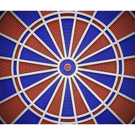 *30* Dartboard Smart Connect Charger 4.0