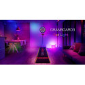 Elektronik Dartboard GRANBOARD3s Green